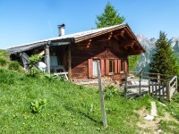 Saxer Alm
