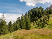 Hinterapenzell