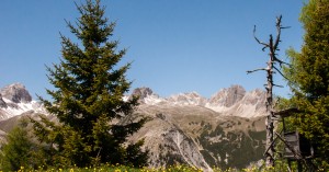  Hochstand