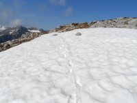 Lärchspitze - Esther Kerber