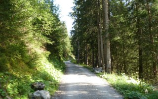  Güterweg Kaiseralm