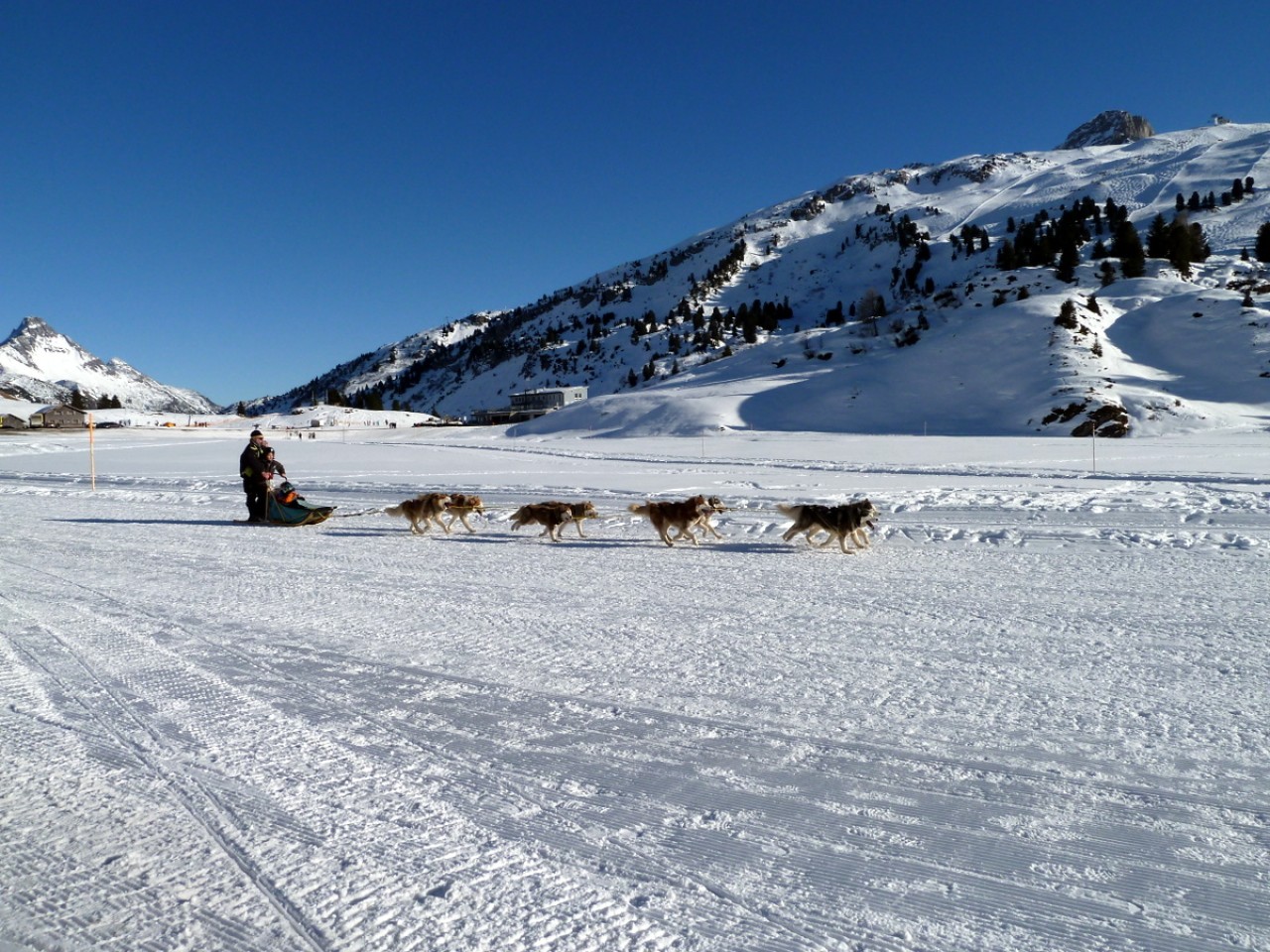  Körbersee Schlittenhunde