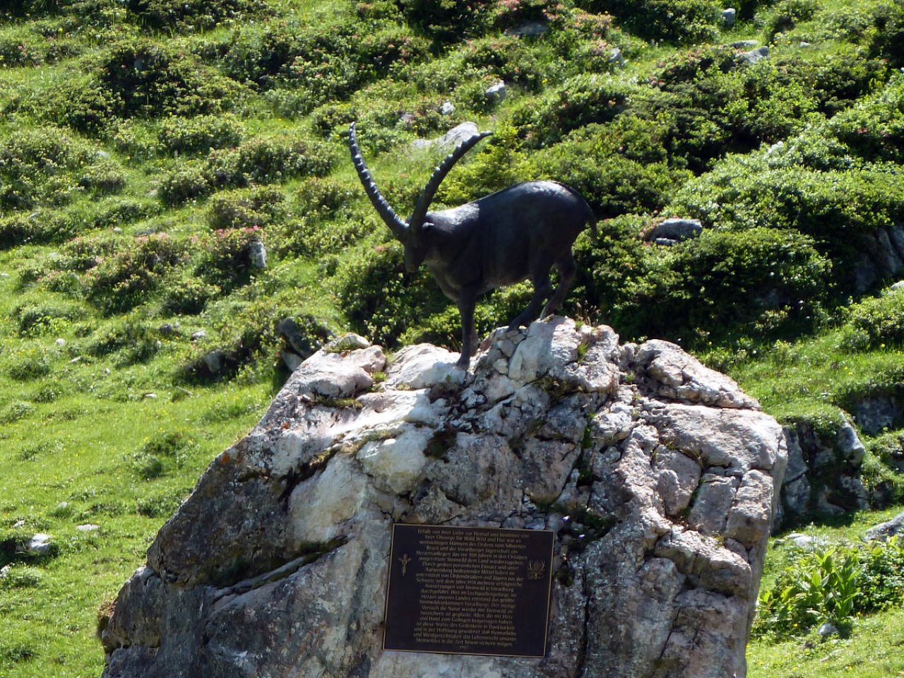  Steinbock