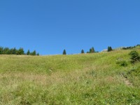 Weg von Holzgau auf die Jöchelspitze