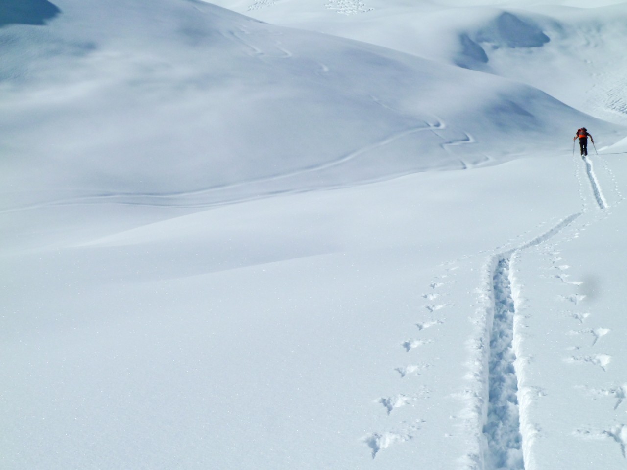  Skitour Feuerspitze