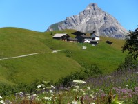 Bürstegg