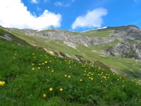 Lärchspitze - Esther Kerber
