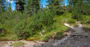  20210807-Neerenweg-3426