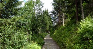  Schotterweg Geierwally Rundweg