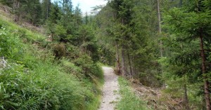  Schmaler Weg
