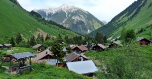 Almdorf Fallerschein