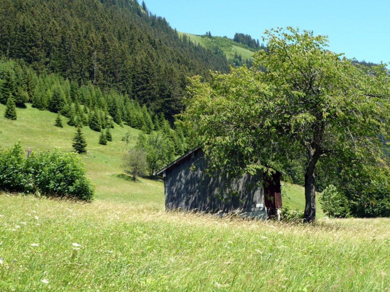  Auf der Schiggen