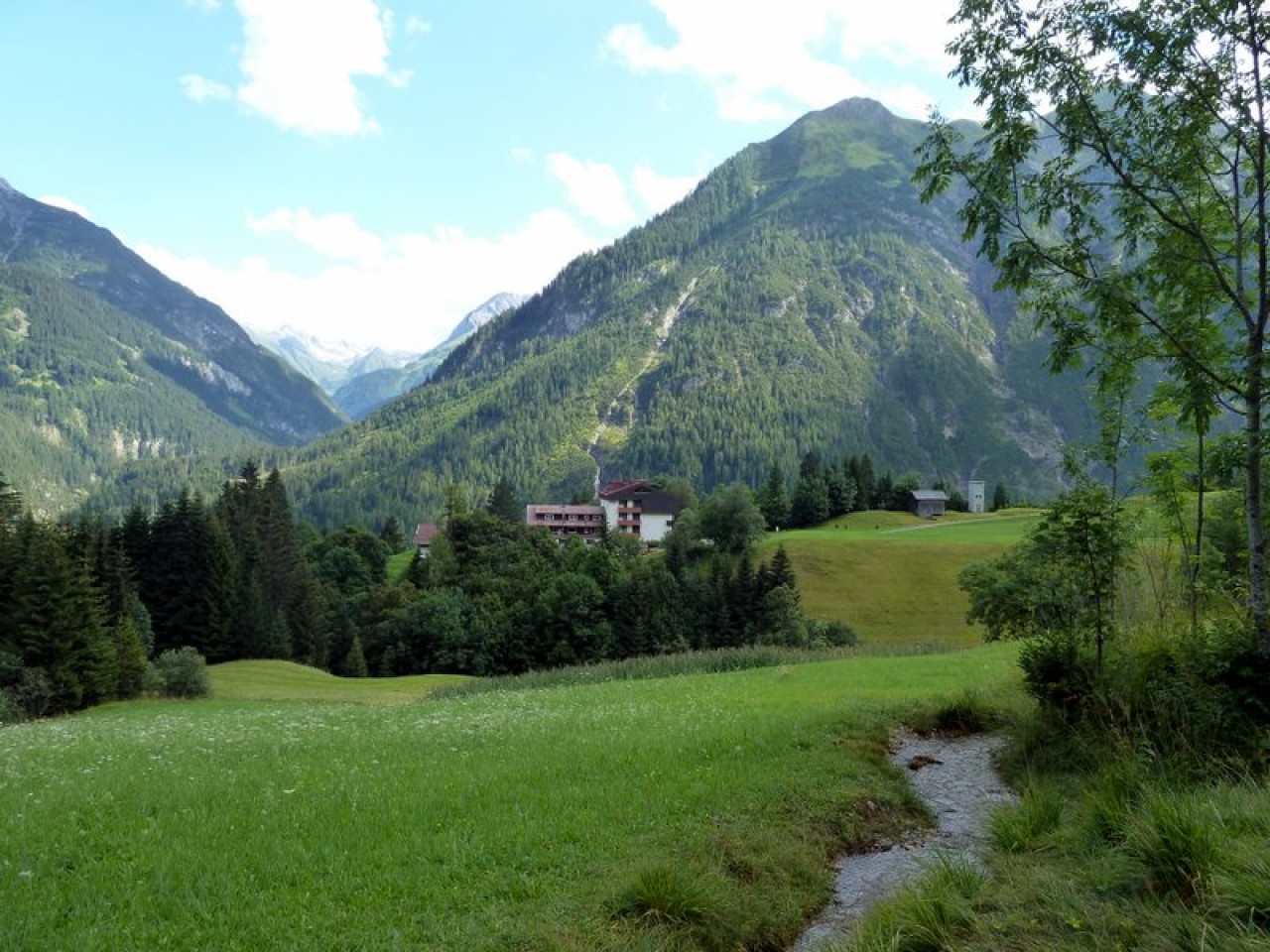  Benglerwald