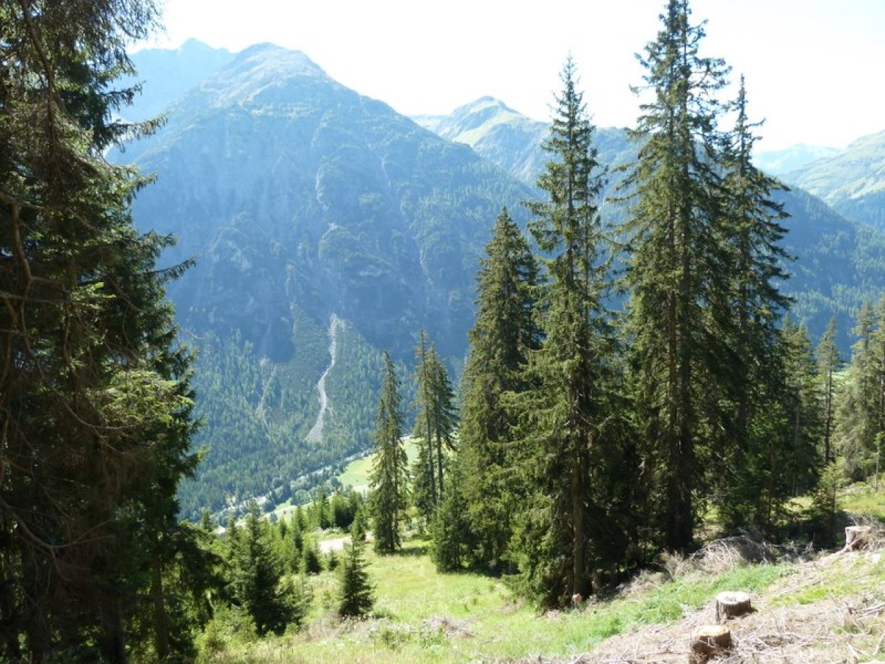  Durch den Wald