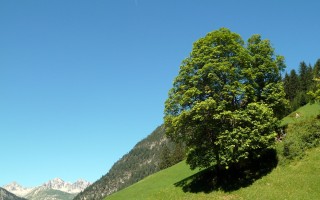  Gramais