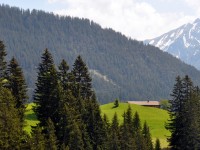 Holzgau im Frühling - Blick zur Schiggen