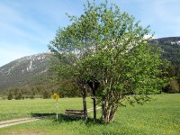 Obergiblen Wegkreuz