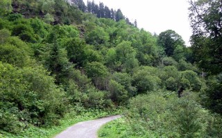  Weg zur Petersbergalm