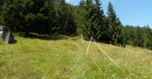  der Nähe von Vorderhornbach