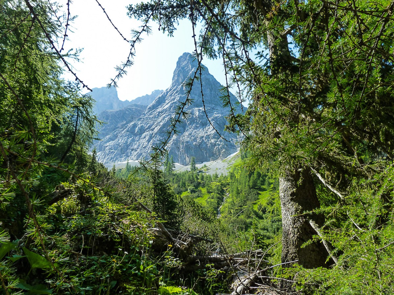  Blick Richtung Freispitzmassiv