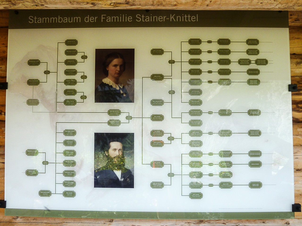  Stammbaum Anna Stainer-Knittel