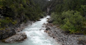  Streinbach