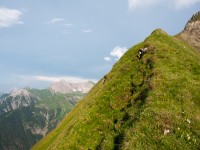 Grasgrat