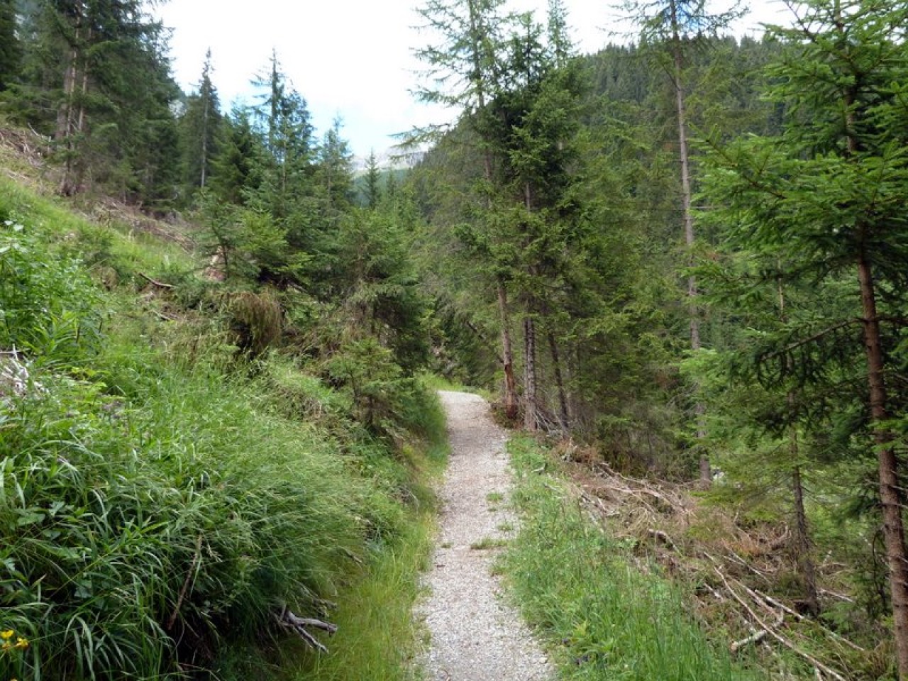  Schmaler Weg
