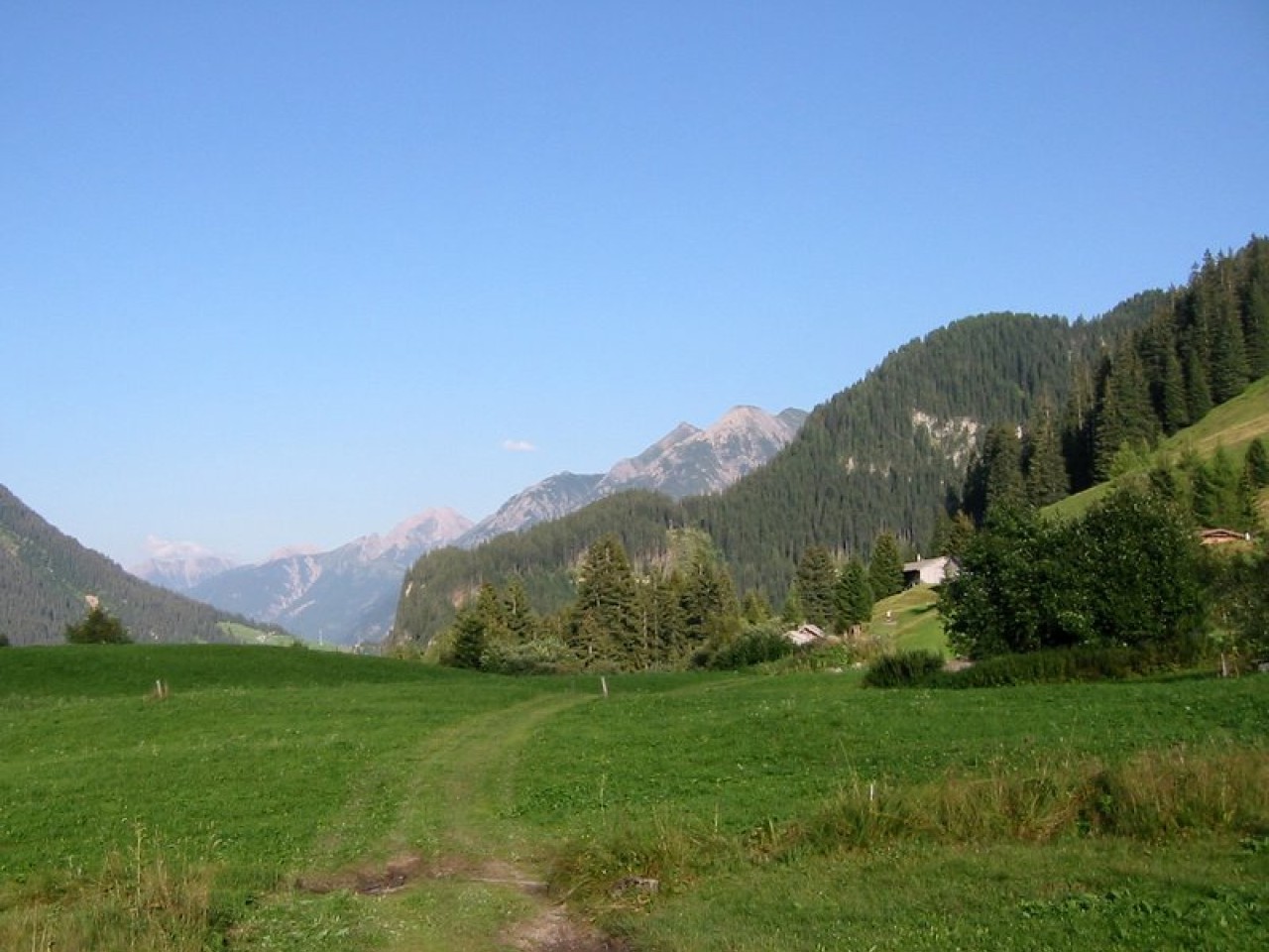  Birchetsgump Feld