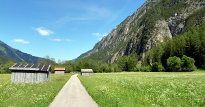  Dickenau