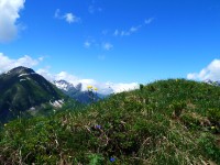 Hahnleskopf