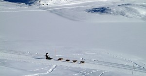  Körbersee Schlittenhunde