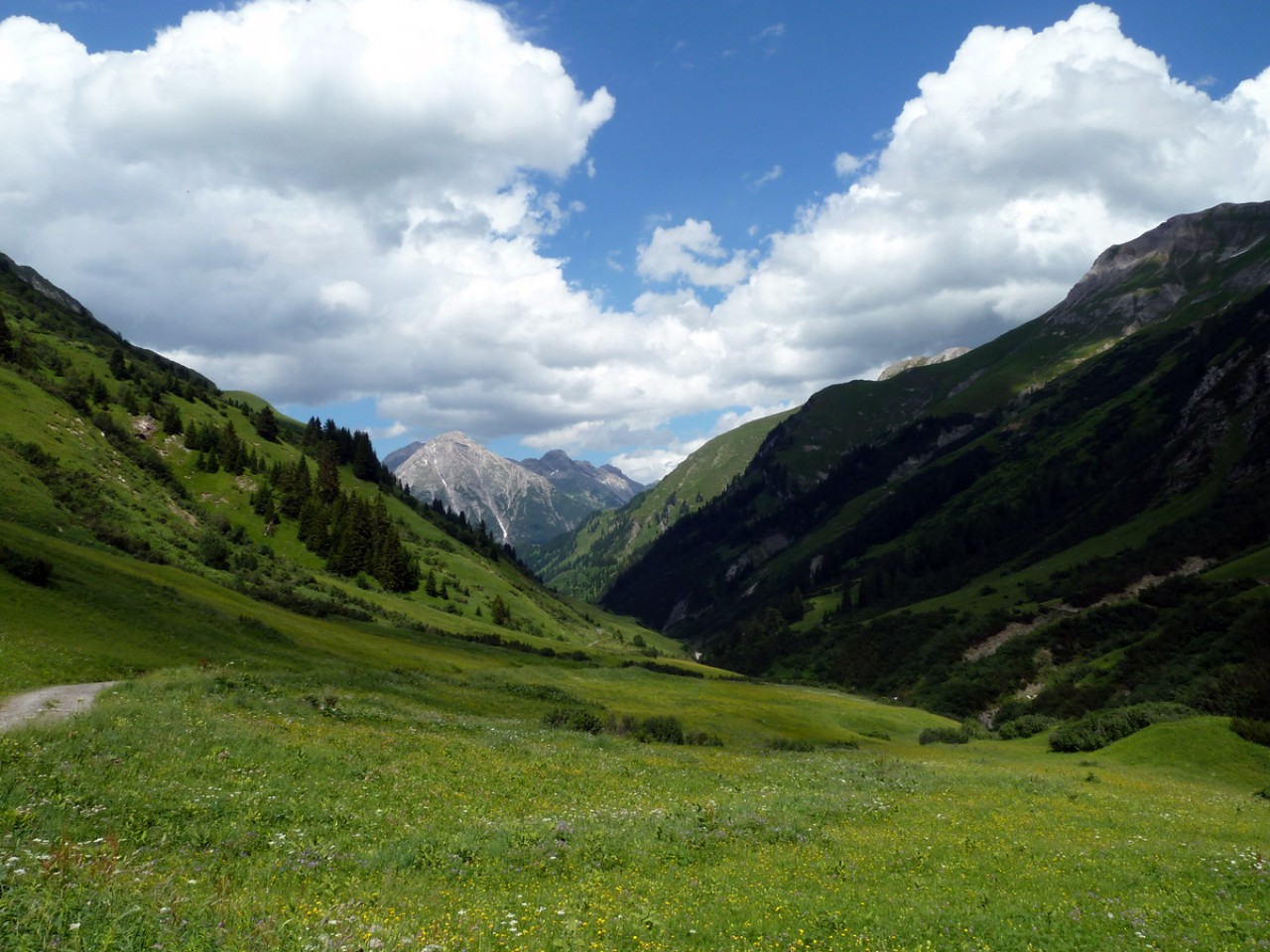  Krabach