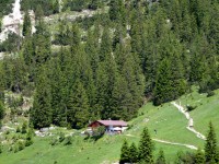 Roßgumpenalm