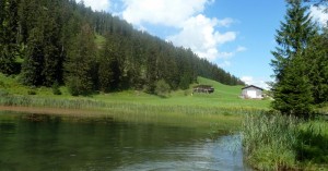  Seesumpf See