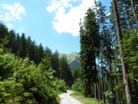 Strasse nach Madau