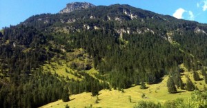  Vorderhornbach Grubig