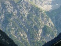 Hängebrücke aus dem Höhenbachtal