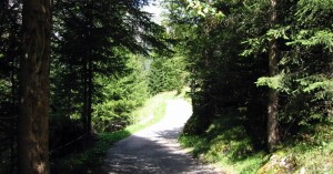  Auf dem Weg zur Roßgumpenalm