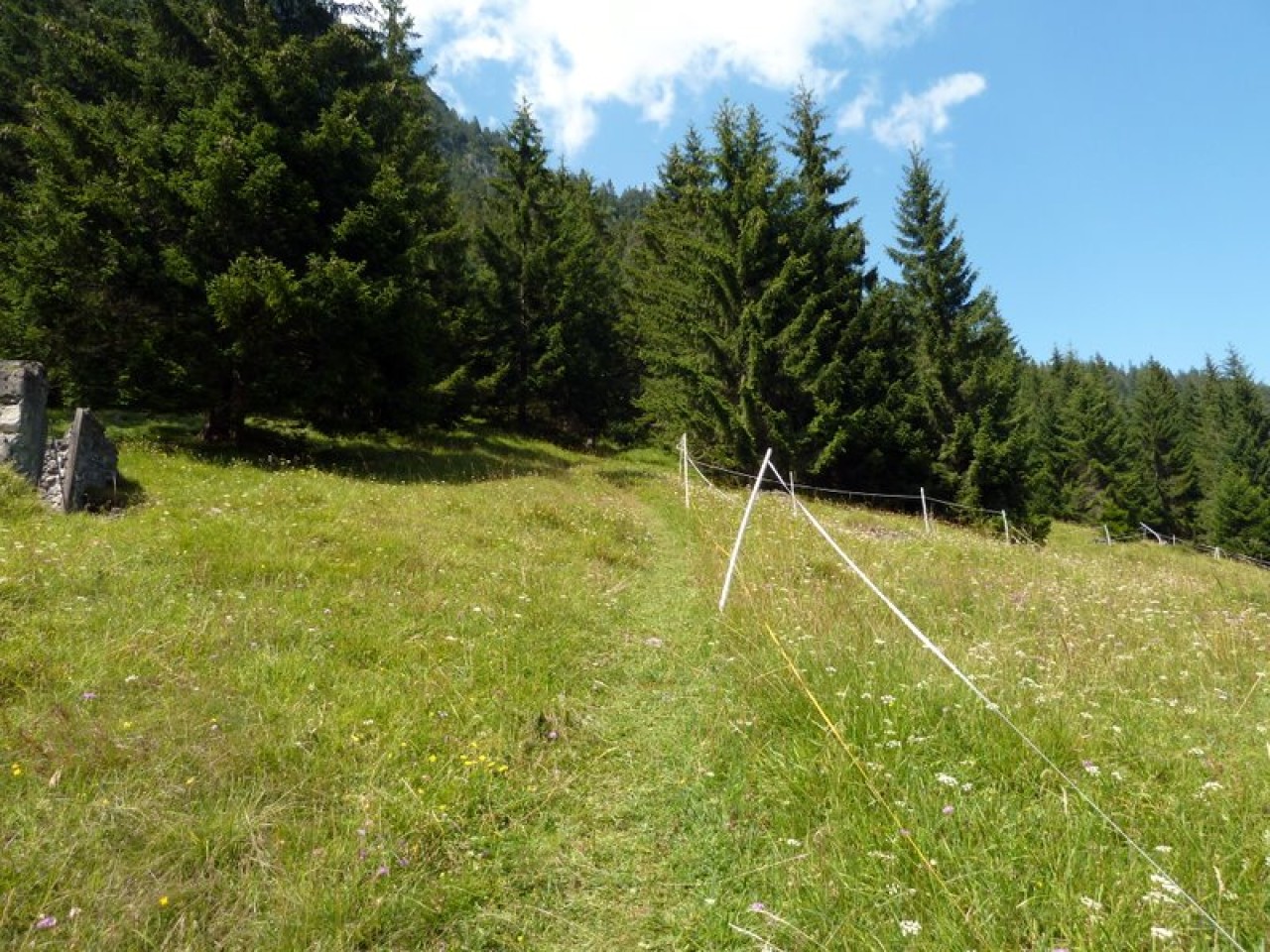 der Nähe von Vorderhornbach