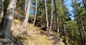  Wanderpfad zum Baichlstein