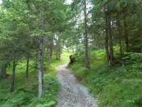 Grünauer Höhenweg