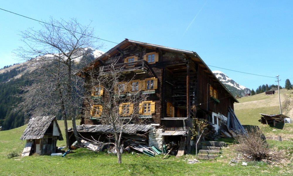  Bauernhaus Schiggen