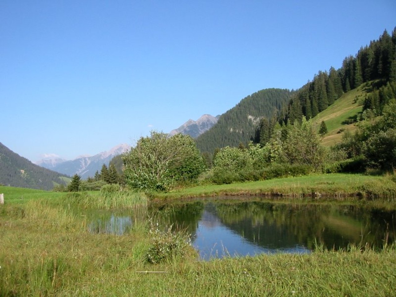  Birchetsgumper See