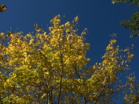 Herbst im Höhenbachtal