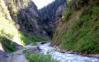  Höhenbach vor dem Simms-Wasserfall