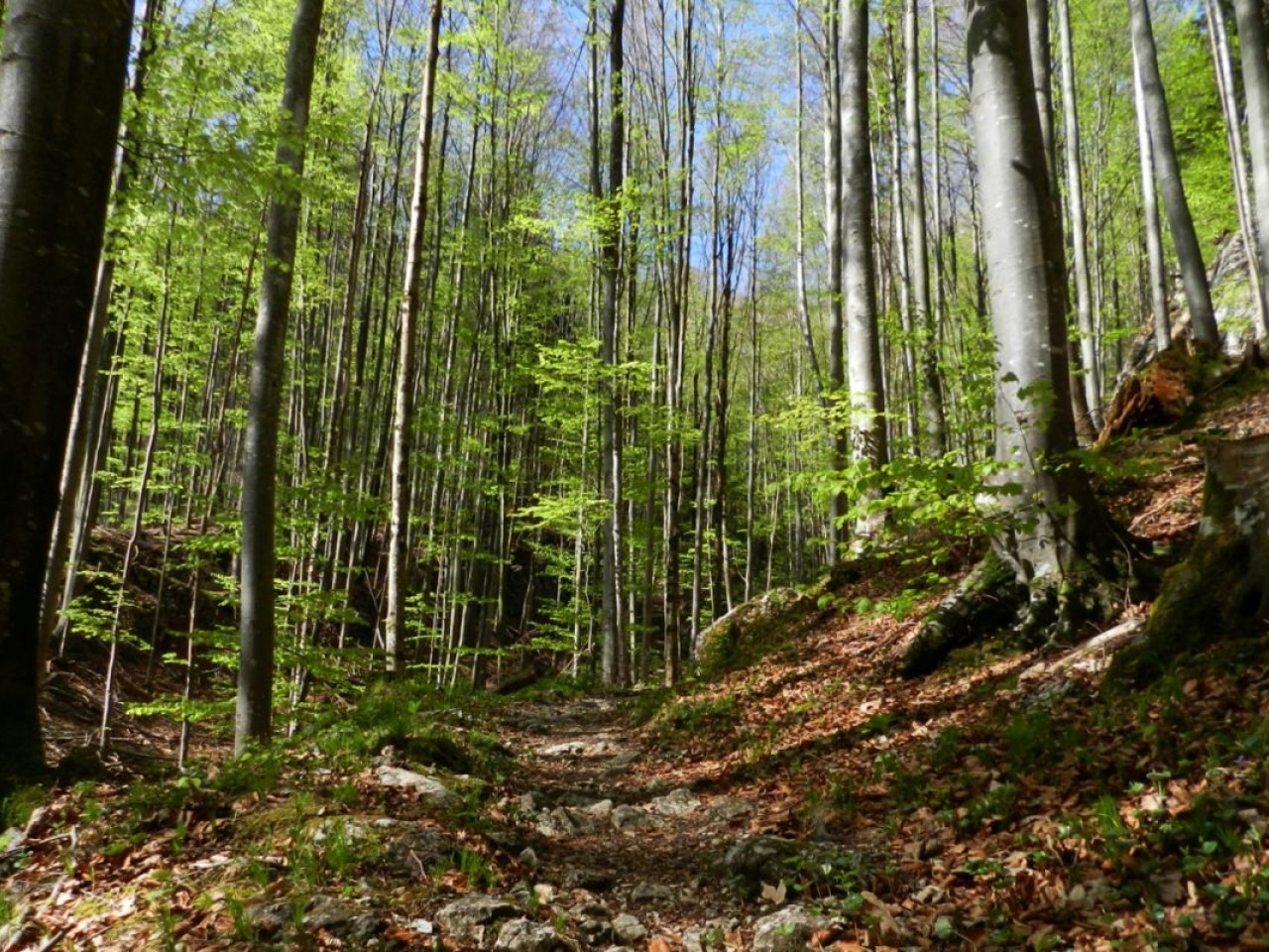  Lechweg zu tirolerischen Grenze