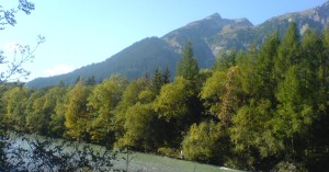  Peischelgruppe und Lech