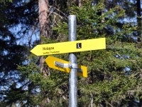 Wegweiser Holzgau