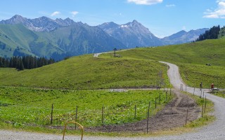  Richtung Ehenbichler Alm